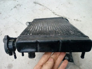 YAMAHA YZF 600 THUNDERCAT ВОДЯНОЙ ВЕНТИЛЯТОР РАДИАТОРА