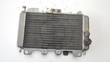 ДАТЧИК ВОДООХЛАДИТЕЛЯ PIAGGIO X9 125