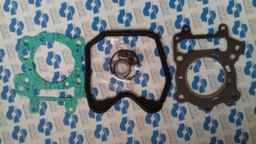 Уплотнения цилиндров Can-Am BRP Bombardier Rally