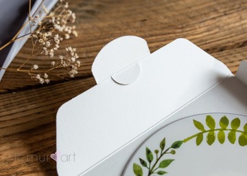 Футляр для компакт-диска, DVD-конверт, папка-коробка, упаковка КРАСИВЫЕ МОМЕНТЫ белый