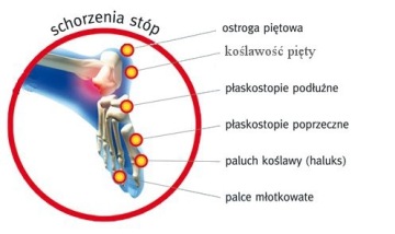 ОРТ МАЗБИТ МЕМО Шпоры LUX MT367 РАЗМЕР 4