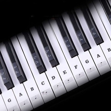 Naklejki nuty na klawisze keyboard pianino