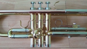 Тревор Джеймс TJTR-2500 Труба