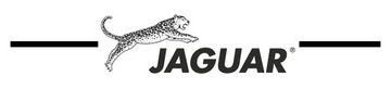 НОЖНИЦЫ JAGUAR PASTELL OFFSET LAVA 5,5