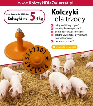 Официальные серьги для свинок 501 шт.
