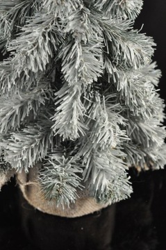 ЕЛЬ МАТРОВАЯ РОЖДЕСТВЕНСКАЯ 30 СМ