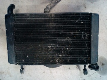 YAMAHA YZF 600 THUNDERCAT ВОДЯНОЙ ВЕНТИЛЯТОР РАДИАТОРА