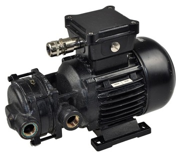 B401-F-W2X4+431 BRINKMANN Pumps Pompa wody 30m
