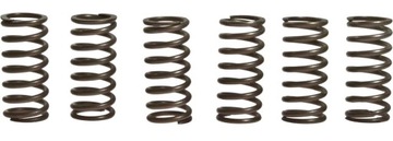 SPRĘŻYNY SPRZĘGŁA SPRZĘGŁOWE BMW F 650 GS DAKAR CS SCARVER