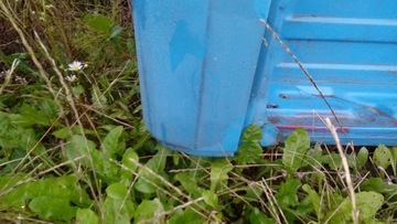 Салон Мерседес Варио