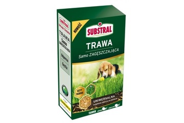 Trawa SAMO zagęszczająca UNWERSALNA Substral 1kg