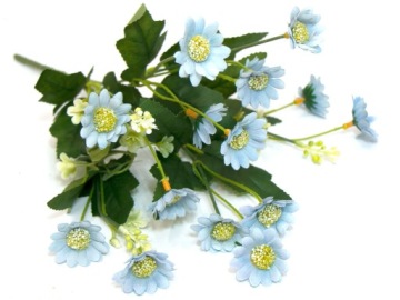 RUMIANKI BUKIET RUMIANKÓW 6 gałązek 33cm