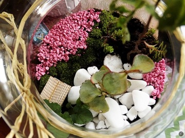 Белый галька декоративный лес в банке из стекла 1-3 см.