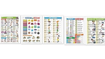 ANIMALS TRANSPORT alphabet NUMBERS COLOURS