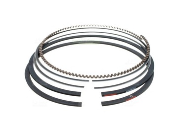 pierścienie BRIGGS STRATTON 15-19 HP 594437 697164