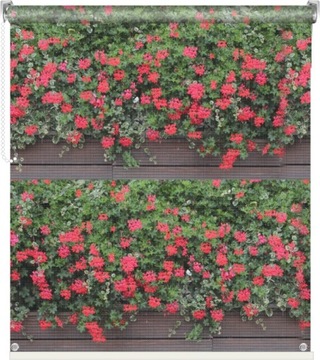 FOTOROLETA parawan balkonowy taras ogród 107x290