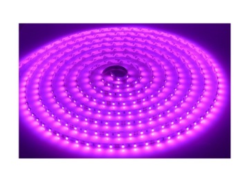 TAŚMA LED 3528 SMD 300 listwa 5m RÓŻOWA