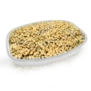 Емкость для проращивания здоровых ростков КОНТЕЙНЕР