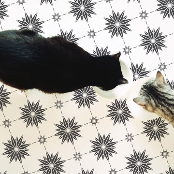 ШАБЛОН РАСКРАСКИ для плитки ESTRELLA 30x30