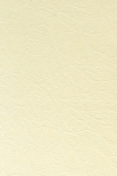 Papier wizytówkowy ozdobny skóra krem 246g A3