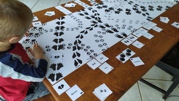 Следы. Животные. Английские слова. Коврик и памятка