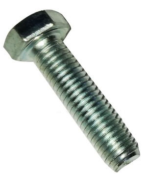 Śruba śruby 1 KG M20x100 6-kątna 8.8 ocynk