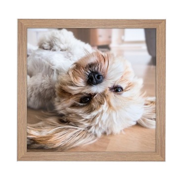 Рамка для фото Italia квадратная 30х30 шоколадная