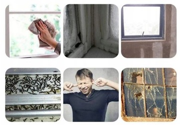 САМОКЛЕЯЩАЯСЯ ПРОКЛАДКА 'E' ДЛЯ ДВЕРЕЙ, ОКОН, ЦВЕТА E