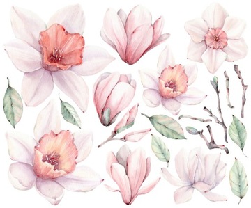 Naklejki na ścianę Magnolia Różowe Kwiaty Magnolie Pastelowe na meble 60x50
