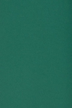 Papier kolorowy ciemny zielony Burano 250g 20 A4