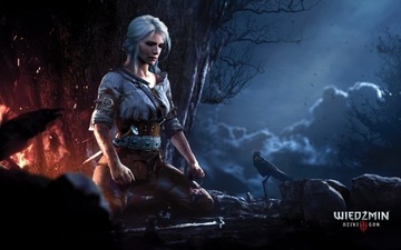 PS4 Ведьмак 3 III ДИКИЙ ГОН ИЗД. ГОД НОВЫЙ