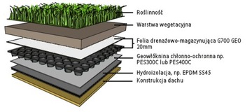 Folia 20 do dachów zielonych z geowłókniną AJJ 1m2