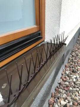 SKUTECZNE PLASTIKOWE KOLCE NA PTAKI GOŁĘBIE 4 KOLORY TRWAŁE i BEZPIECZNE
