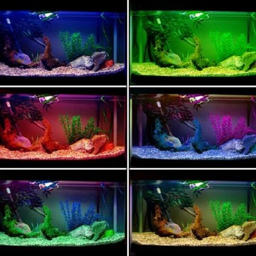 ЦВЕТНАЯ СВЕТОДИОДНАЯ ЛЕНТА, ВОДОНЕПРОНИЦАЕМАЯ, 5M RGB + ПУЛЬТ ДИСТАНЦИОННОГО УПРАВЛЕНИЯ