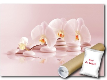 FOTOTAPETA STORCZYK SPA 25A FM 104x70,5 F11406
