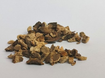 Rzewień korzeń krojony 500g Zioła z Kurpi
