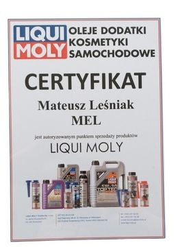 LIQUI MOLY ŚRODEK DO CZYSZCZENIA KLIMATYZACJI GRANAT 75ML / LIQUI MOLY