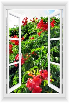 ОКНО СТЕНА СТЕНА 3D САД ПЕРГОЛА ЦВЕТЫ 80х120