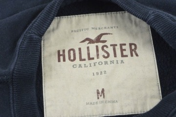 HOLLISTER SURFERS BLUZA KLASYK LONG SLEEVE ROZ M