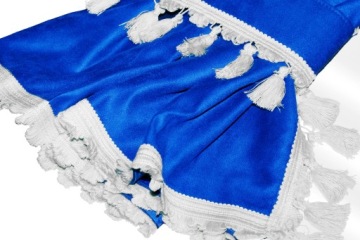 ШТОРА ДЛЯ ГРУЗОВИКА SCANIA S С 2017 ГОДА + КРЮКИ