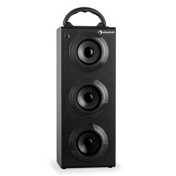 Auna Beachboy XXL Głośnik Bluetooth USB FM D26-44