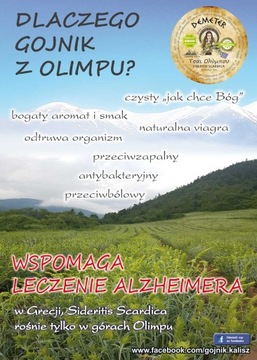 Чай греческий Demeter Gojnik Scardica 300г органический