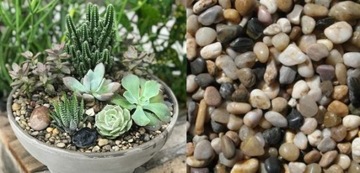 ПОЧВЕННЫЙ СУБСТРАТ ДЛЯ КАКТИЙ И СУКУЛЕНТОВ 10л бесплатно