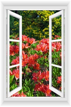 ОКНО СТЕНА СТЕНА 3D САД ПЕРГОЛА ЦВЕТЫ 80х120