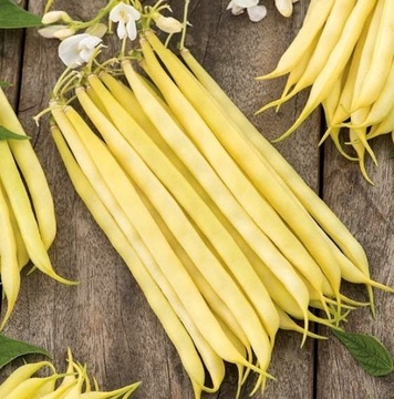Fasola szparagowa karłowa Basta duża paczka 50g