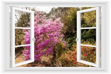 ОКНО СТЕНА СТЕНА 3D САД ПЕРГОЛА ЦВЕТЫ 150x100