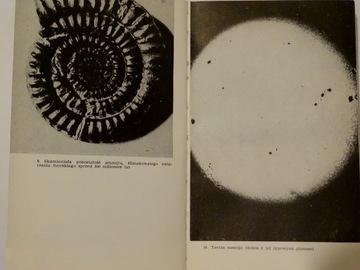 ДЕТИ ВСЕЛЕННОЙ Хоймар фон Дитфурт