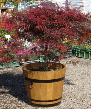 БОЛЬШОЙ ДУБОВЫЙ САДОВЫЙ ЦВЕТОЧНЫЙ ГОРШОК ДЕРЕВЯННЫЙ ГОРШОК 60 Л