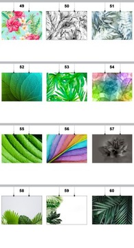 ПОСТЕР ЛИСТА ЛИСТЬЯ РАСТЕНИЯ 59x42СМ MAT 78 ДИЗАЙНОВ