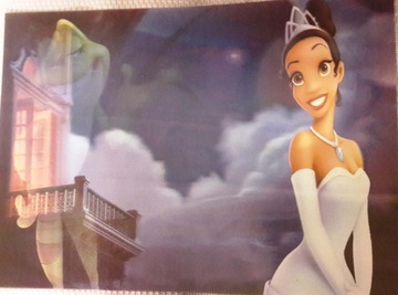 Obrazek 3D - DISNEY KSIĘŻNICZKI - 20 x 30 cm.